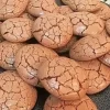 persian walnut cookies recipe