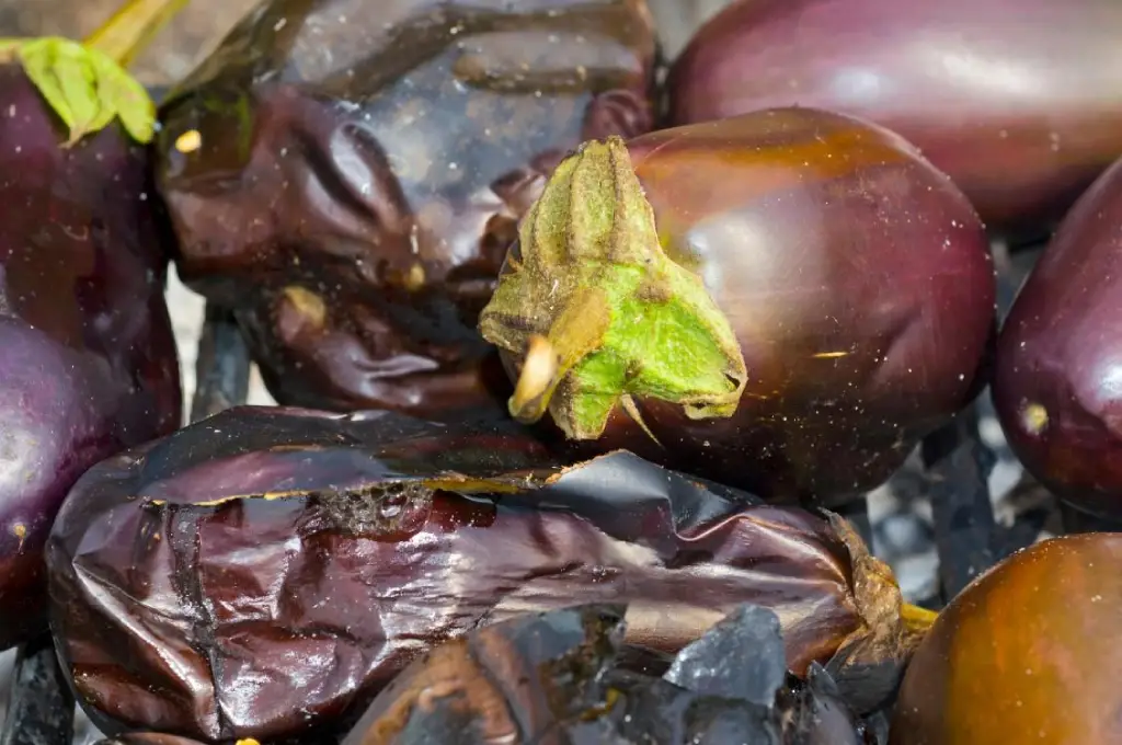 eggplant for mutabal